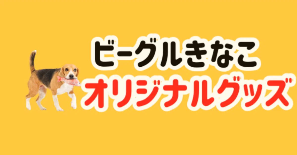 Delivering to Beagle lovers! Kinako Goods Part 2🐶♨️｜ビーグルきなこ