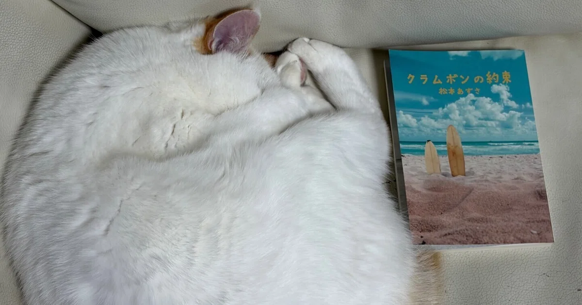 [Book Review #3] Clambon's Promise / Azusa Matsumoto｜野分暁葉 Nowaki Akiha
