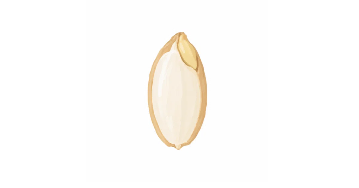 [Germinated Rice] Eating white rice is the worst value for money ...