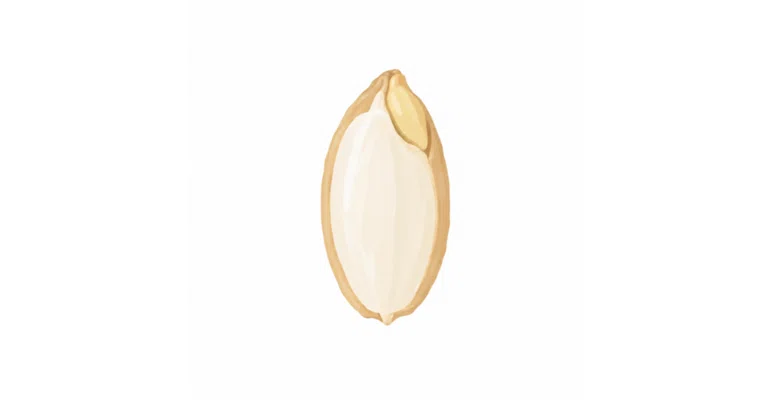 [Germinated Rice] Eating white rice is the worst value for money ...