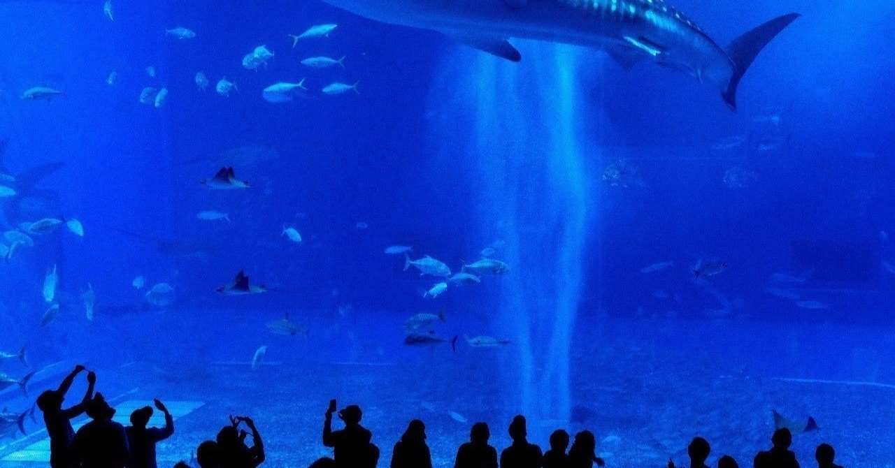 水族館が怖い 水族館恐怖症 を知っていますか Kabaddi Carolan S Note 水族館が怖い 水族館恐怖症 を知っていますか Kabaddi Carolan S Note