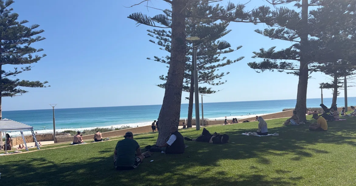 Normal Back Bone What I learned in 6 months of working holiday: How my 'normal' from ...