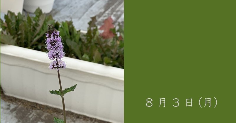 ミントの花 Saya Note