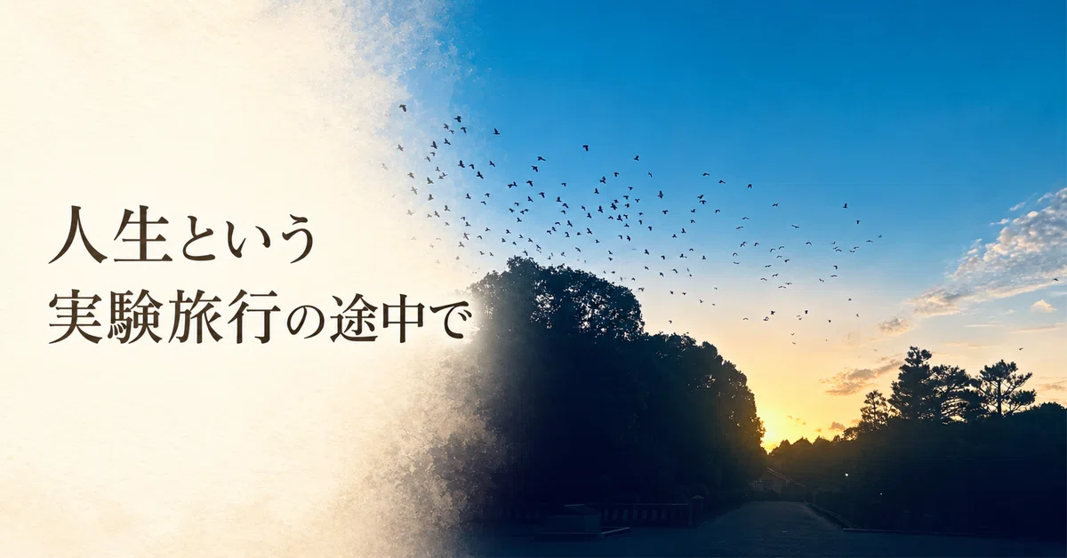 In the Midst of the Experimental Journey Called Life Vol. 1｜いつき