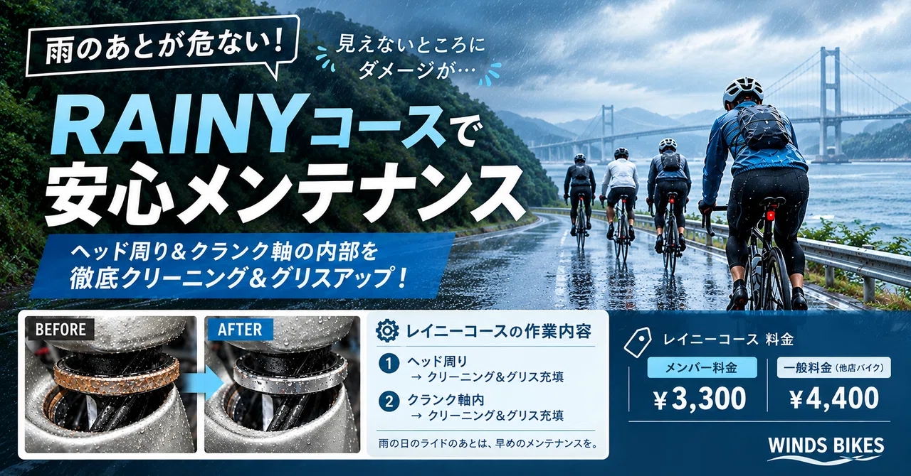 Take care of your beloved bike after cycling in the rain! WINDS BIKES ...