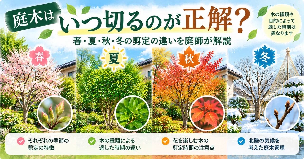 When is the right time to prune garden trees? A gardener explains the ...
