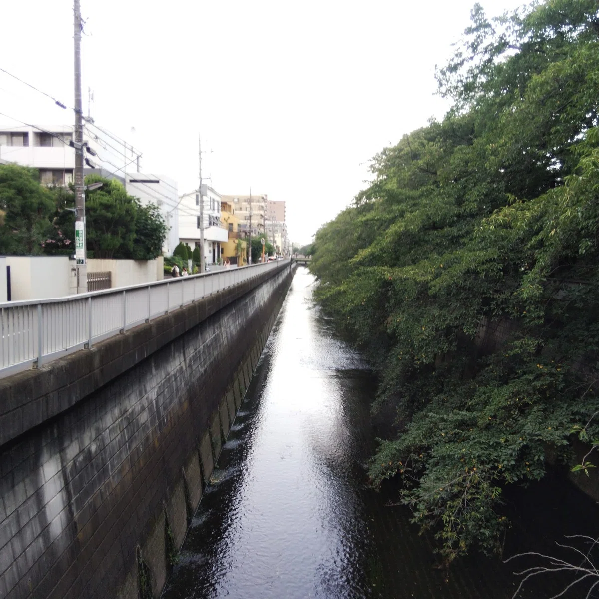 画像392