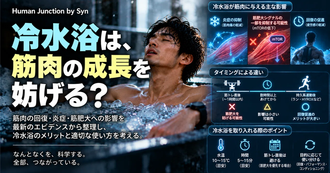 #027 Does cold water immersion hinder muscle growth?｜Syn