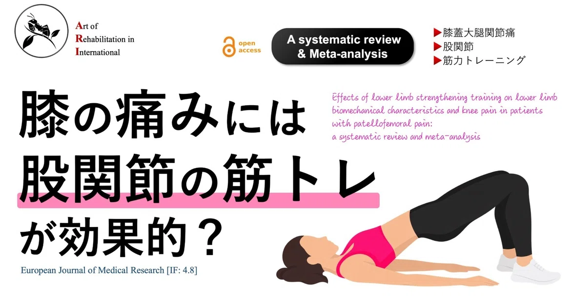 Is 'Hip Muscle Training' Effective for Knee Pain?｜Super Human | 理学療法士 ...