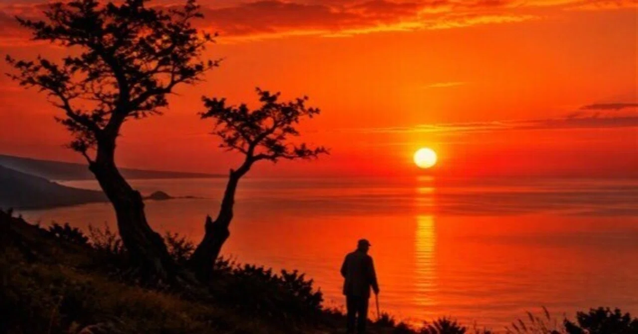 In the world, my autumn is a silhouette.｜maltaのまるちゃん3