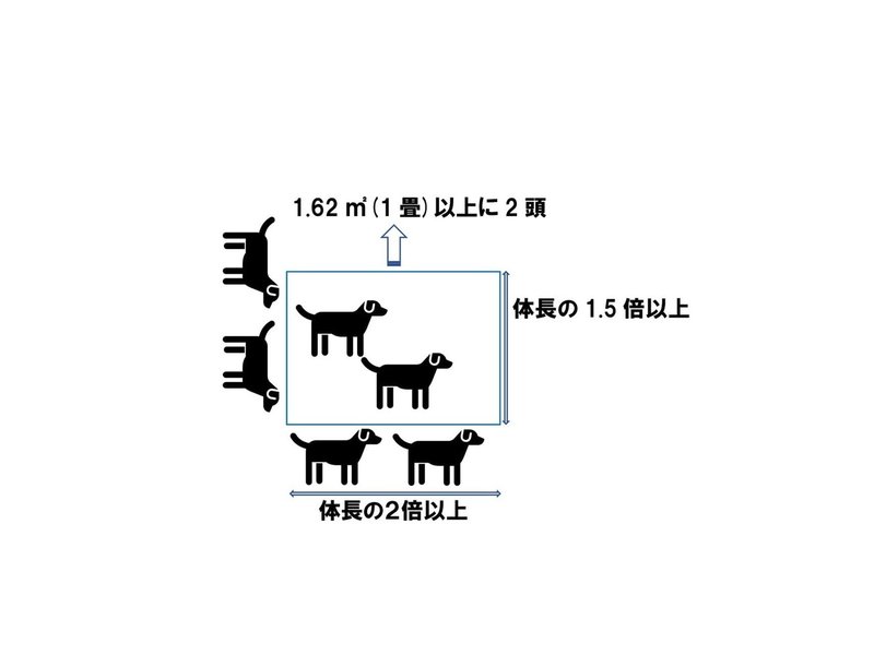 日本と海外のペットショップ どれぐらい違う 各種数値規制 犬の飼い主サポートのplam Note