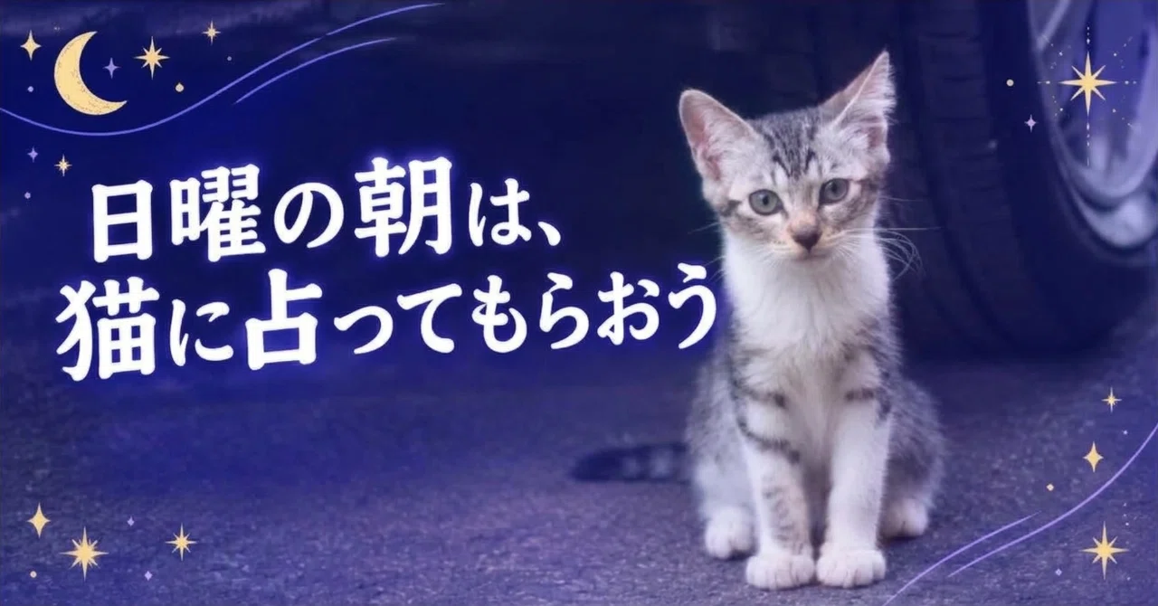 [Wasabi's Cat Fortune-Telling🔮] Please choose by intuition. Part 3 ...