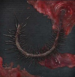 オドンの正体について 企む内閣 Note