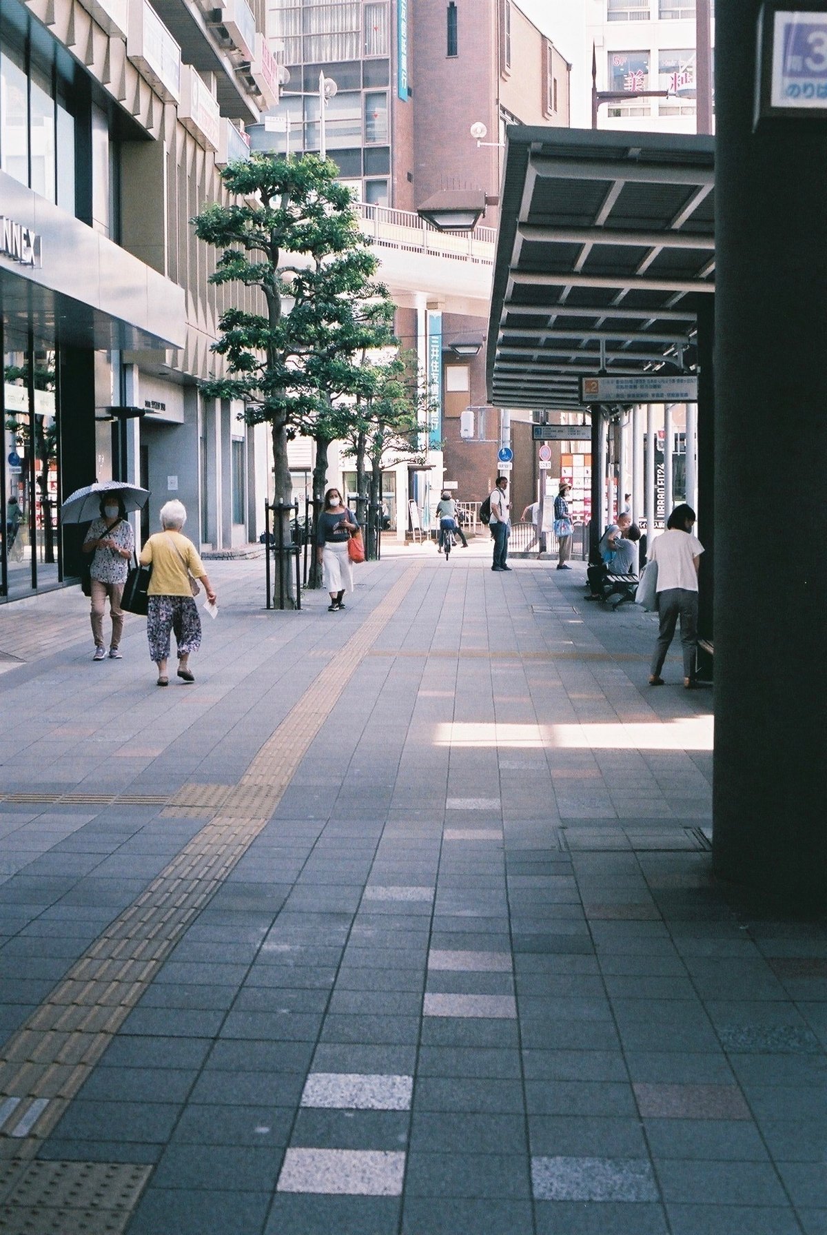 露出計が動かないNIKON FM10とNIKKOR 1:1.4レンズ、 FUJICOLOR C200