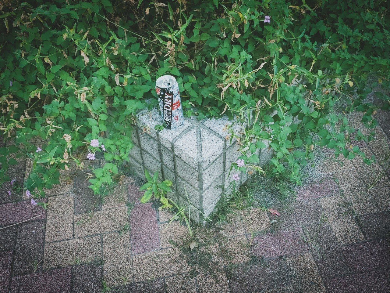 社会のゴミ ねこぢた Note