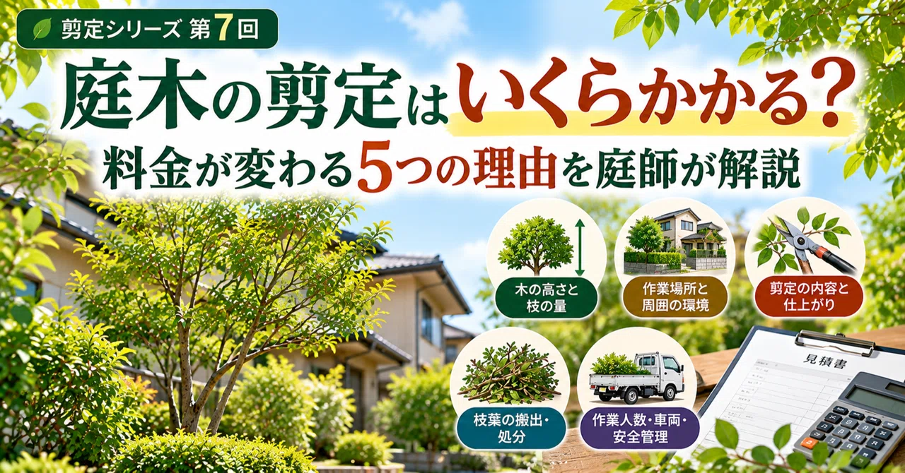 How Much Does Tree Pruning Cost? A Gardener Explains 5 Reasons Why ...
