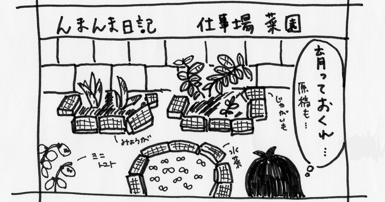 仕事場菜園 中澤日菜子 世界文化社 公式note 仕事場菜園 中澤日菜子 世界文化社 公式note