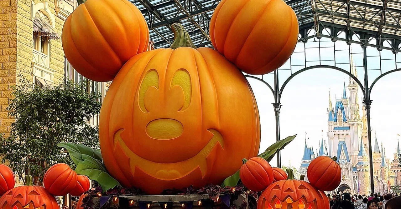 I went to D-Halloween! The best Halloween memories (Part 1)｜柊17