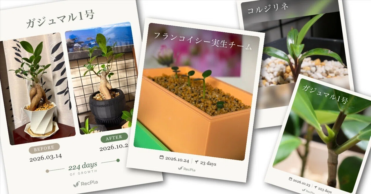 Perfect for Growth Records! Introducing an iPhone App I Found on My Own｜ef