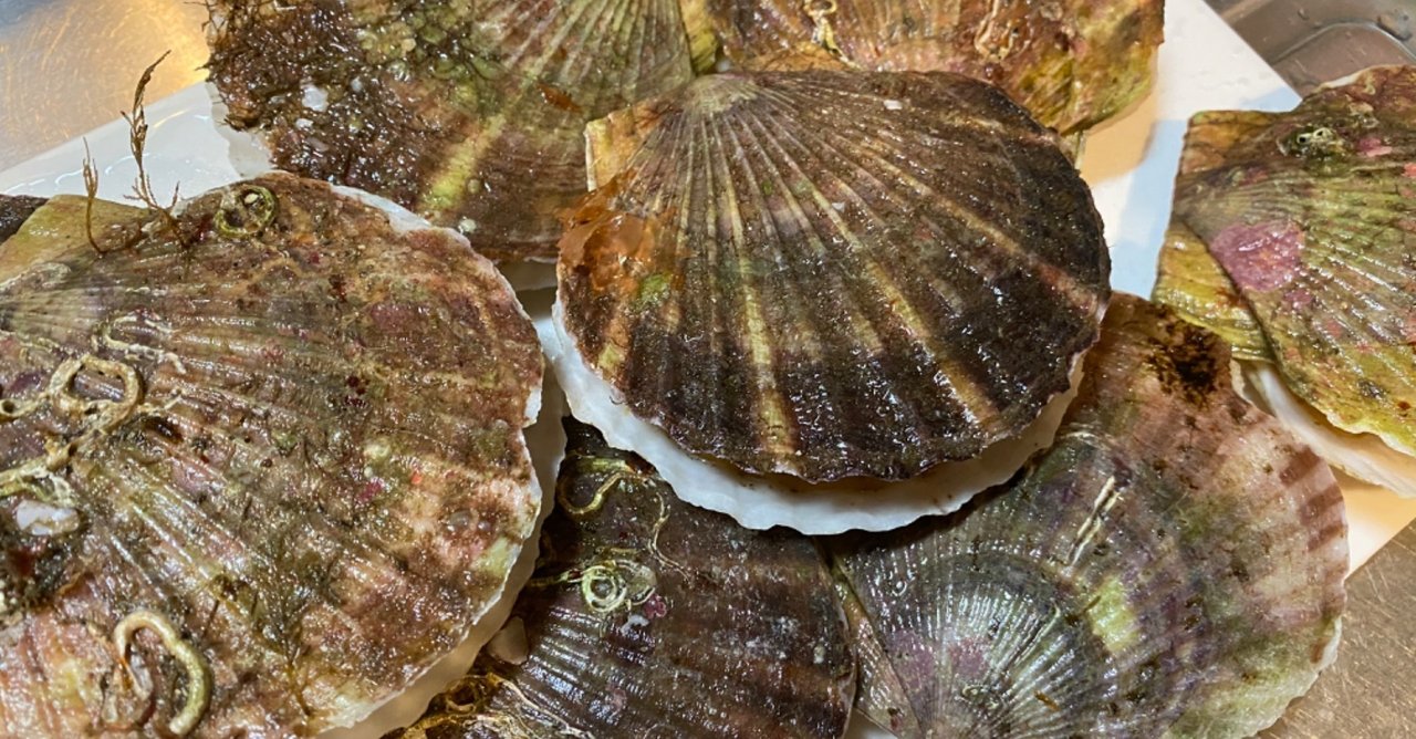 ホタテ貝の炭火バター焼き Noriaki Kawanishi 半農デザイナー Note