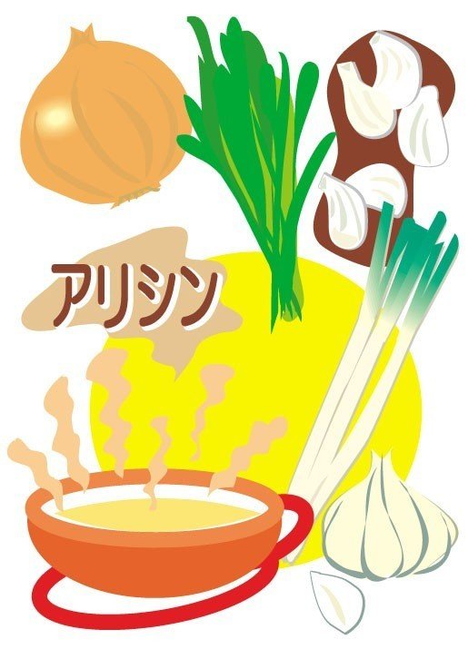 アリシン 強烈な香りで食欲増進 Yokoito イラスト Note アリシン 強烈な香りで食欲増進 Yokoito イラスト Note