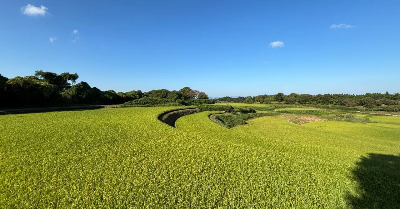 Questionnaire Rice Production Results of safety inspections for the 2026 rice harvest have been ...