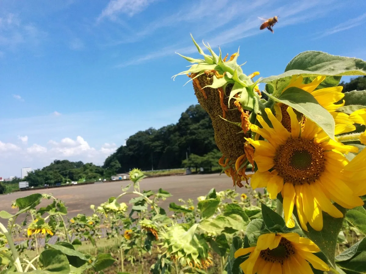 画像636