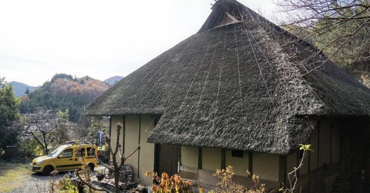 Why do buyers of old folk houses end up unhappy? The mechanism of good ...