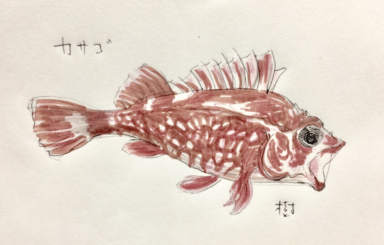 カサゴ の新着タグ記事一覧 Note つくる つながる とどける