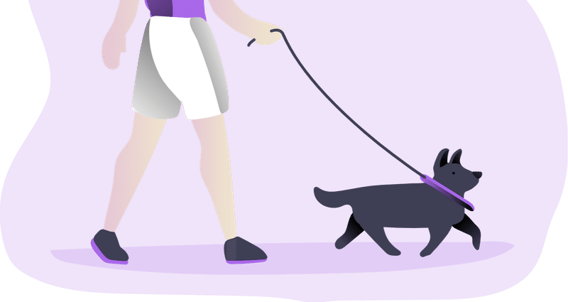 Nyの 散歩 代行サービス Swifto Dog Walking いぬの旅 ペットと海外旅行 Note