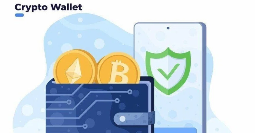 Chapter 2: Basic Knowledge of Crypto Assets (4)｜momonote