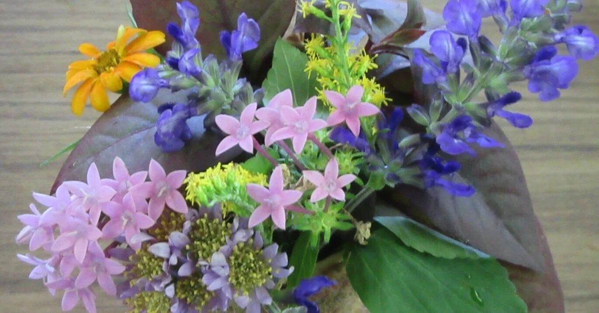 [1st Community Garden Introductory Course - Part 2] Session 5 (Autumn ...