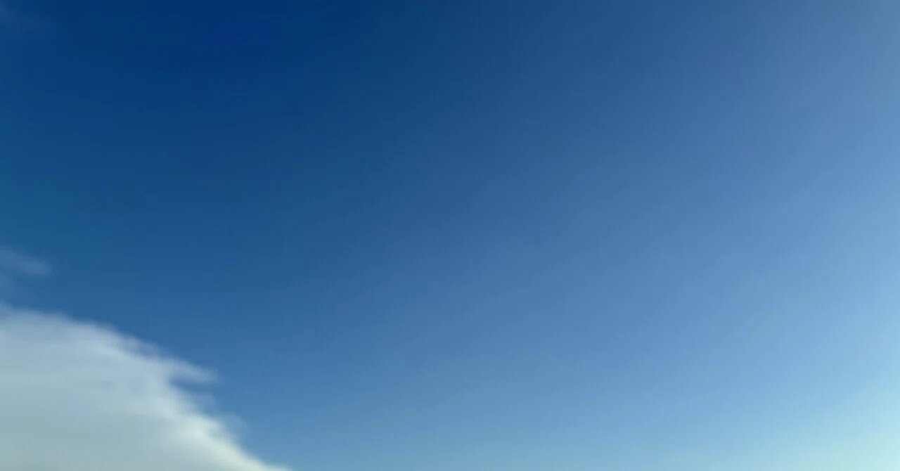 [Musings] Fictional Concert Program ③｜愛獺家