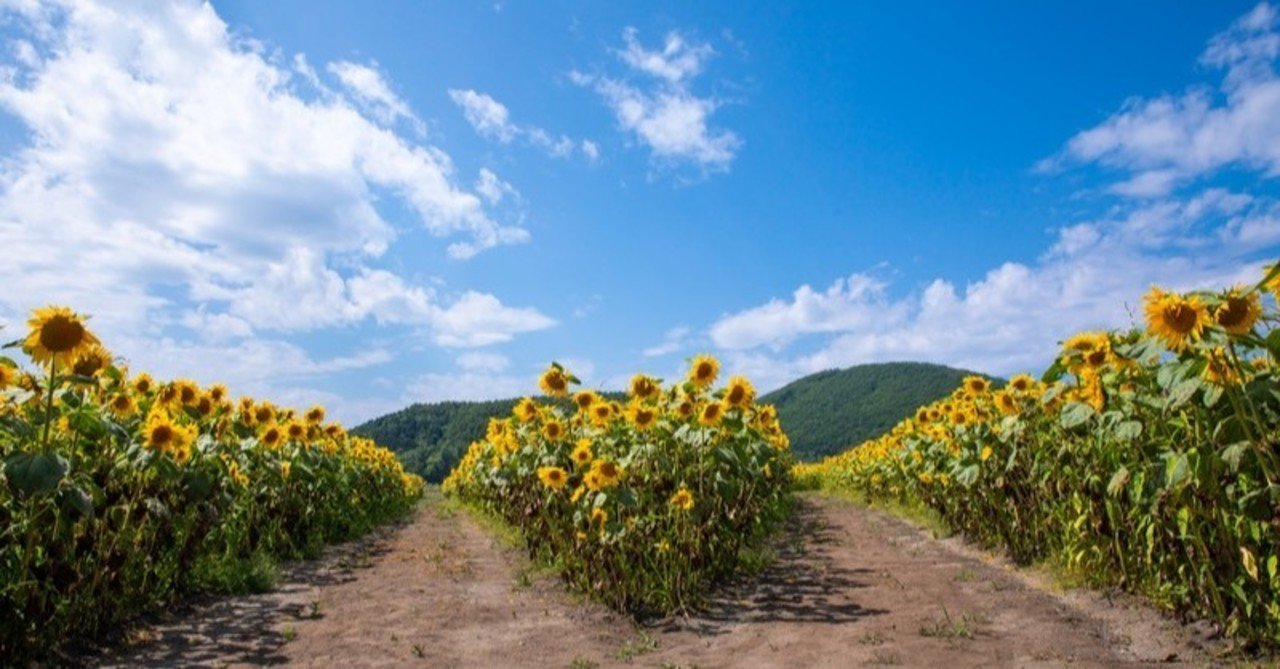 進撃の巨人 リヴァイ まあせいぜい 悔いが残らない方を自分で選べ 橋岡克仁 Note