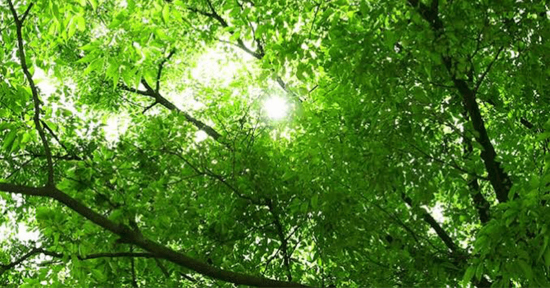 ショートショート三題噺 3つのお題で短編小話 南武1001 Note