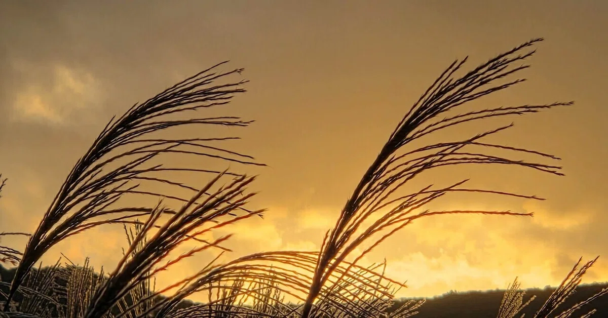 My Experience Changing Jobs After Maternity Leave: From MR to Pharmacy ...