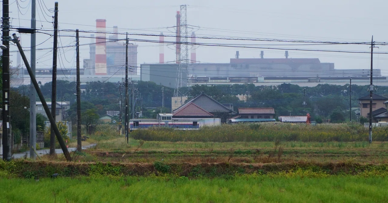 [Photo] Kashima Rinkai Railway, Kashima Rinko Line, in the rain｜稲穂