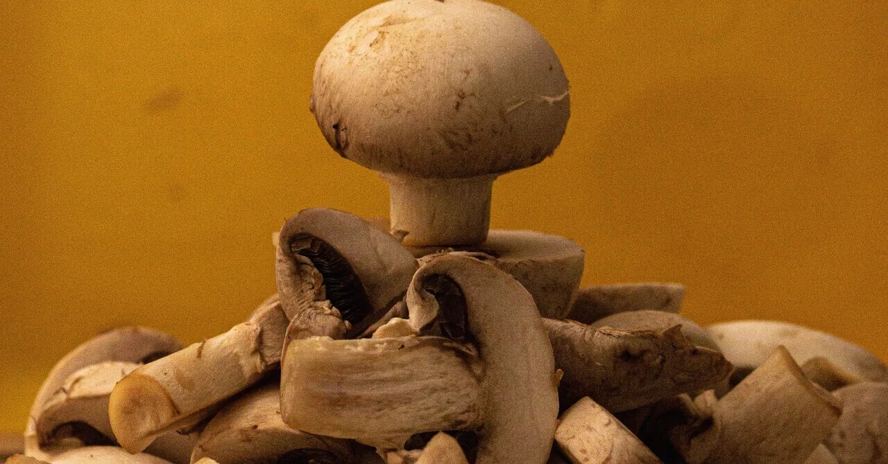 When grilling mushrooms, wait a little before adding oil and salt🍄‍🟫 ...