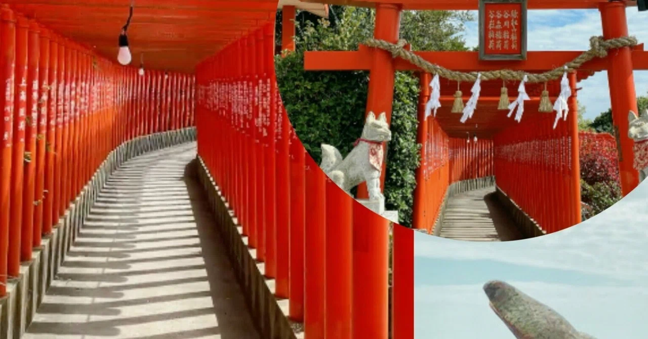[Japanese Shrines You Must Visit Once in Your Life⛩️] The breathtaking ...