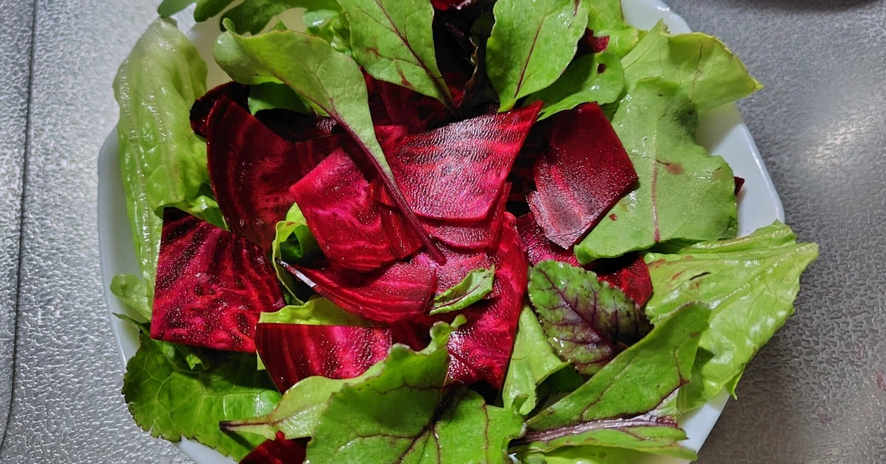 Beet Cultivation on Abandoned Farmland: The Day of Reckoning｜ゆきんこ