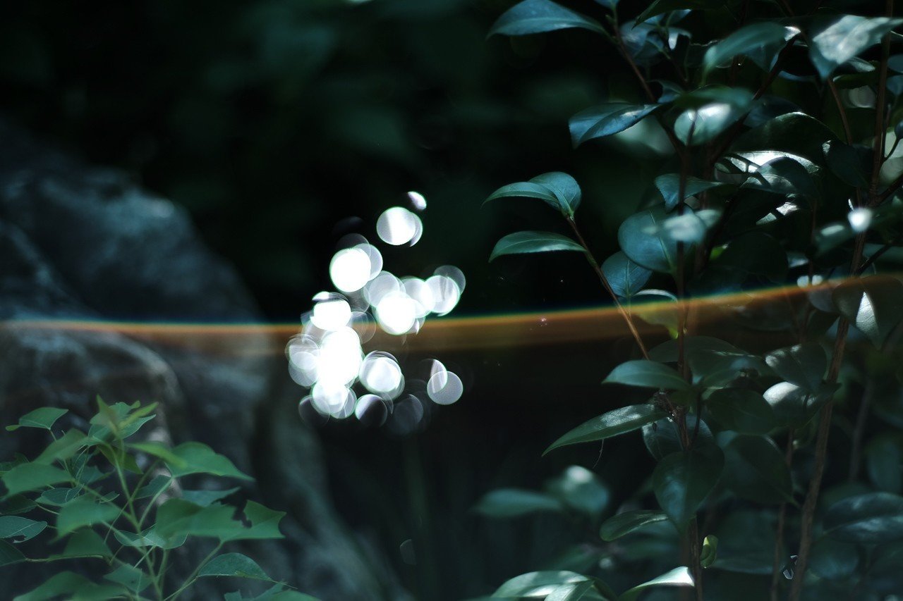 写真を撮った後に、イメージの微調整をカメラ内の機能でやる方法が