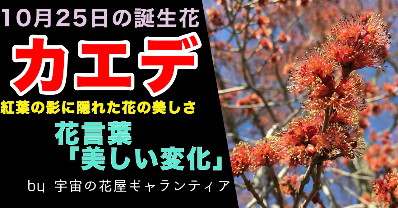 [Flower Encyclopedia] 