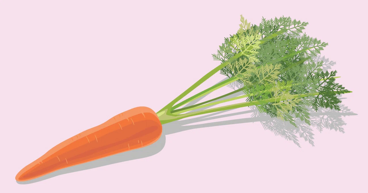 A Savior During High Vegetable Prices! Introducing My Favorite Carrot ...