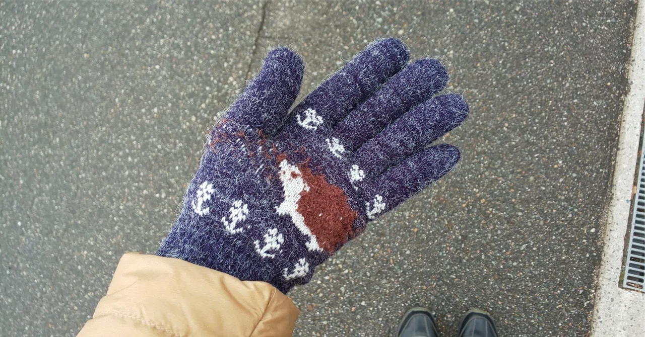 5 Smartphone Gloves: Materials, Washing Instructions, and Size Labeling ...