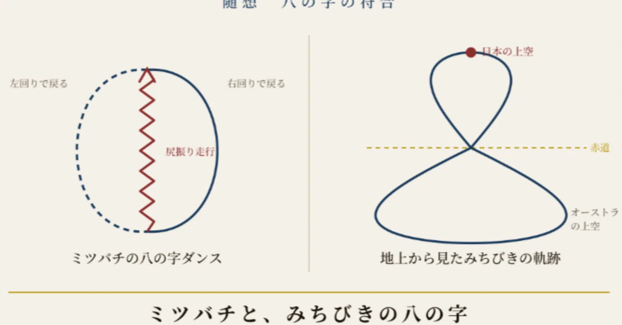Essays: The Coincidence of the Figure-Eight - Honeybees and the ...