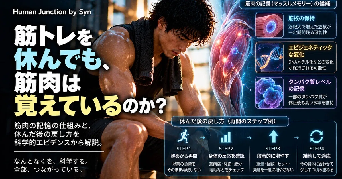 #029 Do muscles 