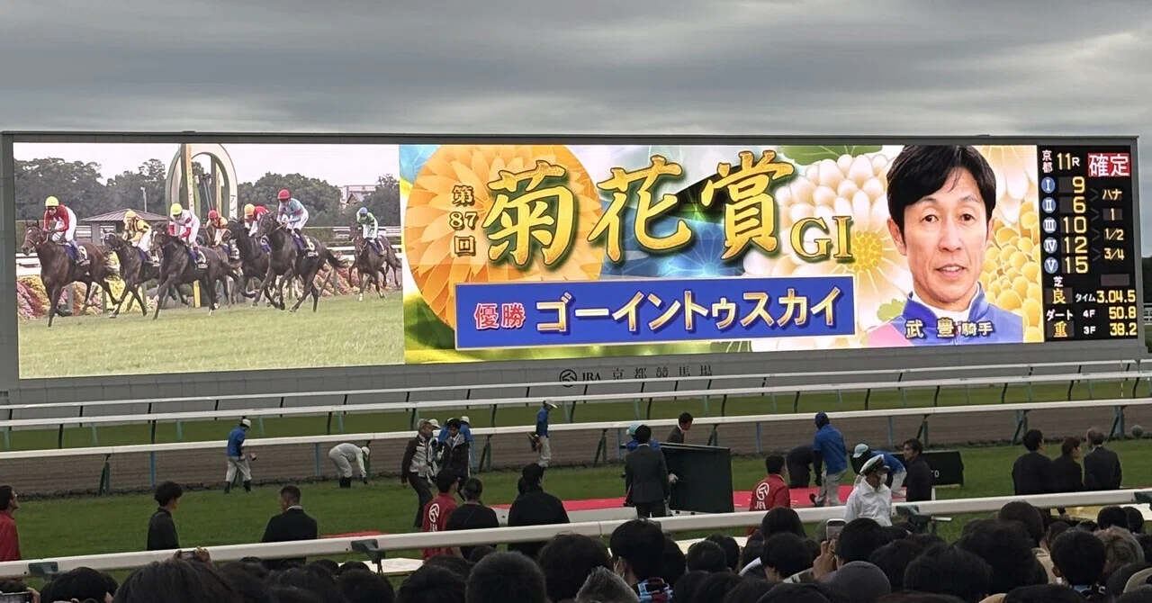 After the Kikuka Sho｜こくこ競馬場