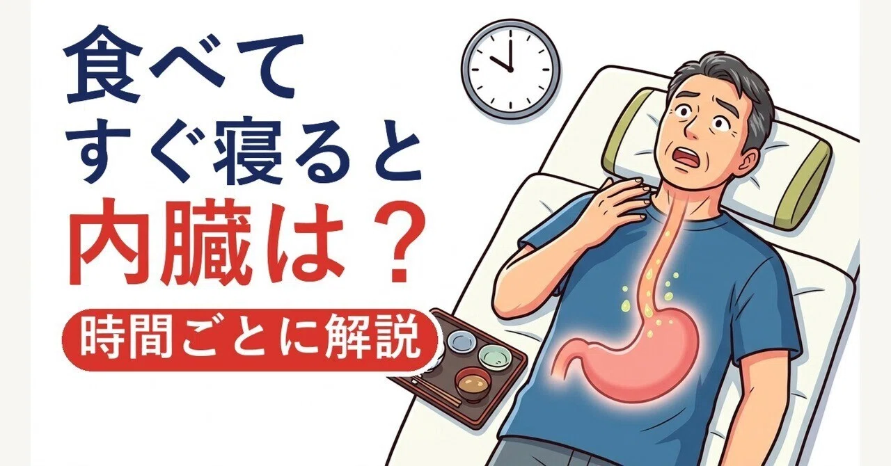 What happens to your internal organs when you sleep right after eating ...