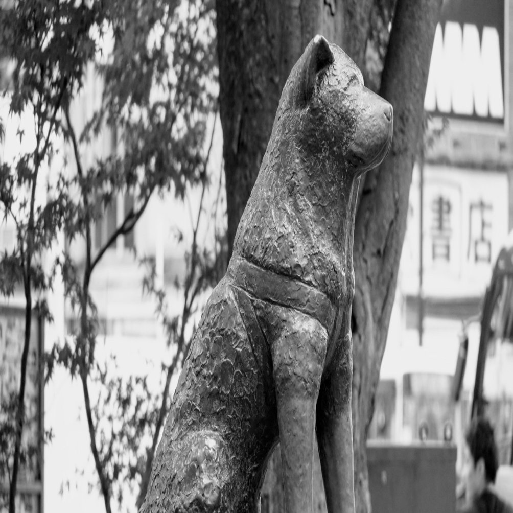 ポケモン シルヴァディの育成論と対策 チョッキ型 物理型 タヌト Note