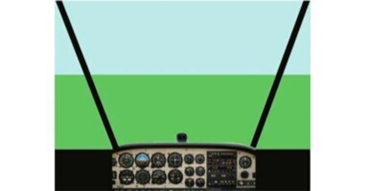 ★Flight Simulator cockpitView｜沼野かえる